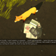 The mother fox digs up some of Joseph’s stuff from his rebellious teenage years.
